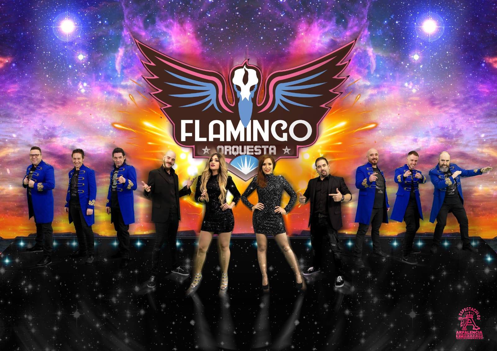 Flamingo
