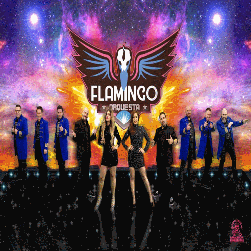 Flamingo